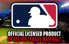 Franklin SportsReturn Screen and Pitching Target